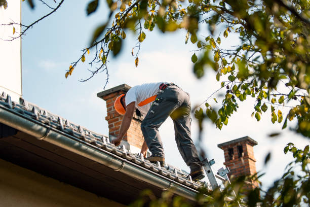 Best Slate Roofing Contractor  in New Carlisle, IN